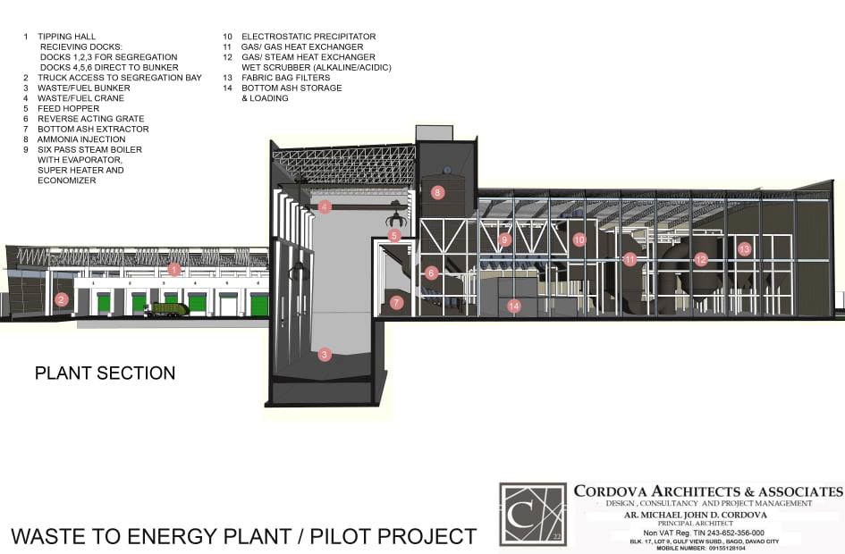 Plant Picture 4